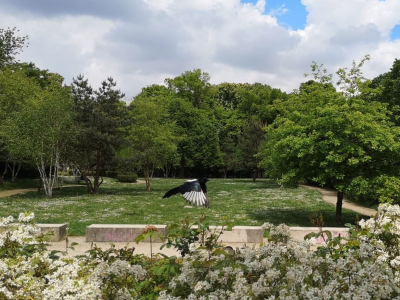 Les Parcs Et Jardins Sceaux