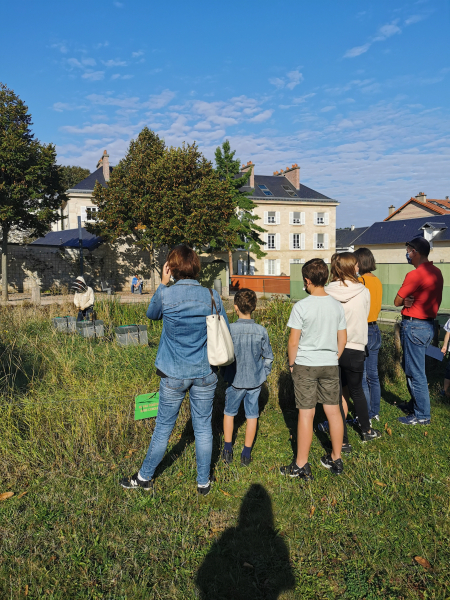 Atelier apiculture - Septembre 2021 - © Ville de Sceaux 