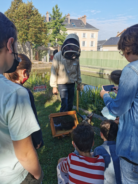 Atelier apiculture - Septembre 2021 - © Ville de Sceaux 